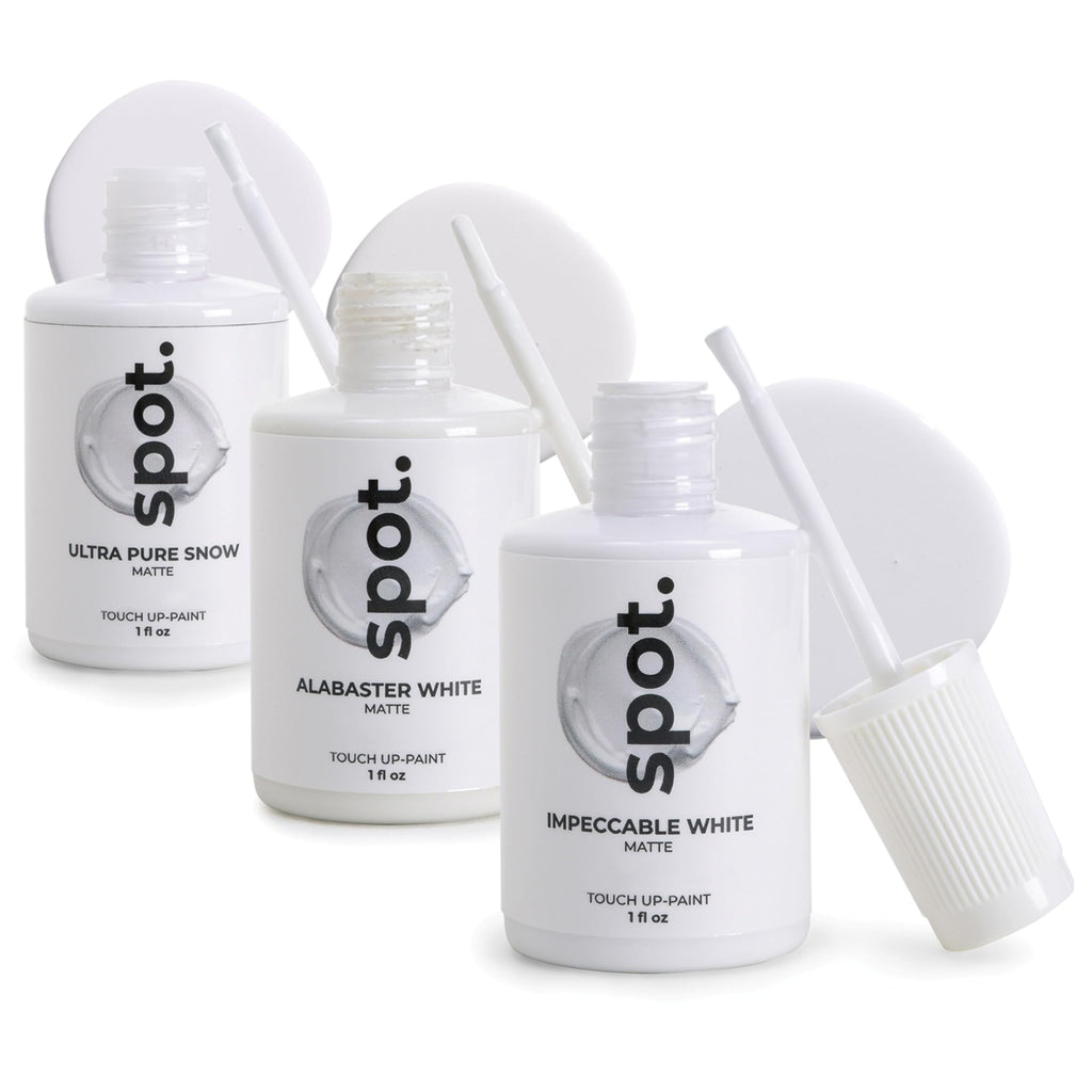 Matte Touch-Up Paint Kit